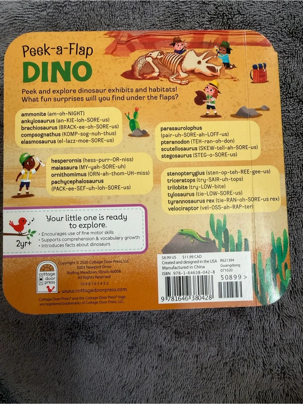 Set of (2) Peek-a-Flap Board Books (Dino & Dig!)